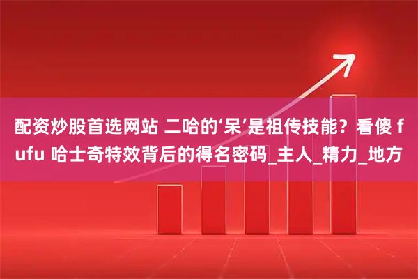 配资炒股首选网站 二哈的‘呆’是祖传技能？看傻 fufu 哈士奇特效背后的得名密码_主人_精力_地方
