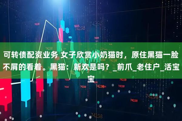 可转债配资业务 女子欣赏小奶猫时，原住黑猫一脸不屑的看着。黑猫：新欢是吗？_前爪_老住户_活宝