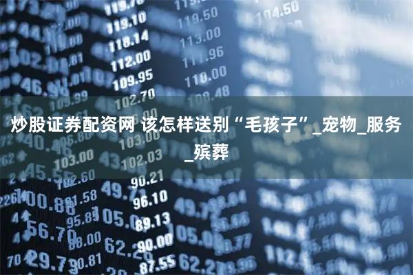 炒股证券配资网 该怎样送别“毛孩子”_宠物_服务_殡葬